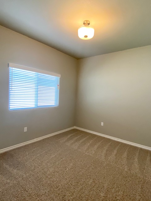Sand Dollar Floor Plan | Room | Hogan Homes Texas Home Builder
