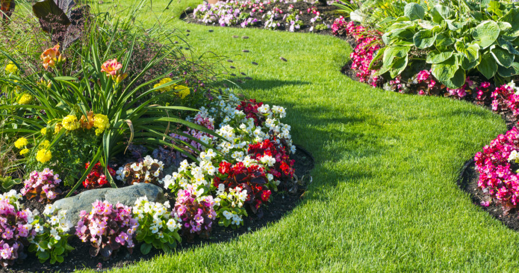 Preparing Your Garden For Spring Hogan Homes
